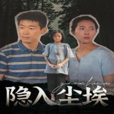 隐入尘埃封面