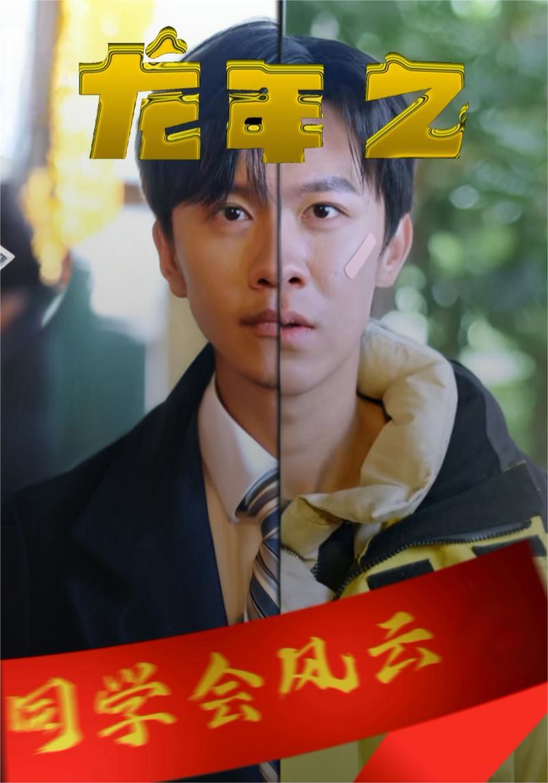 龙年之同学会风云封面