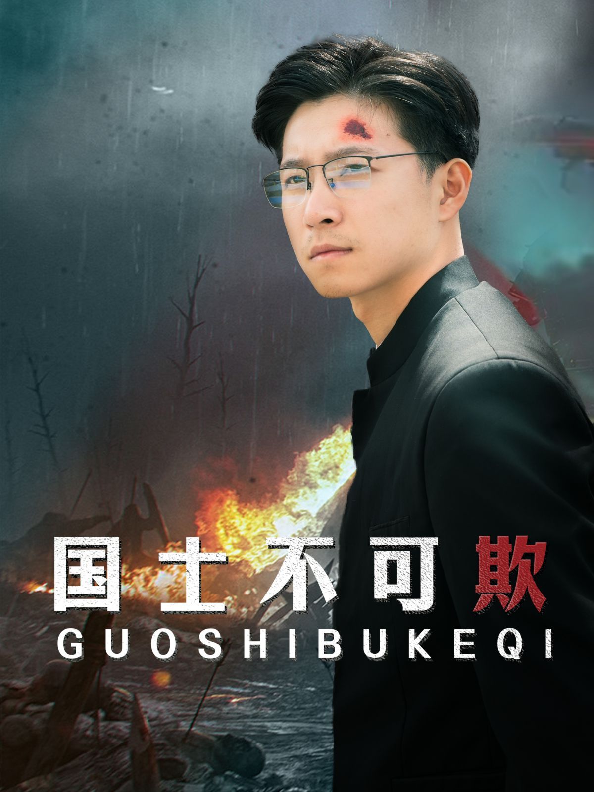 国士不可欺封面