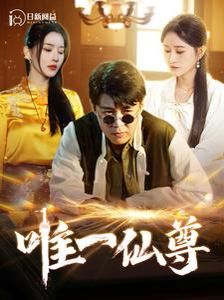 唯一仙尊封面