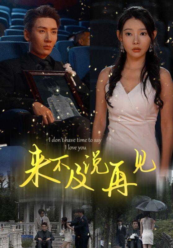 来不及说再见封面