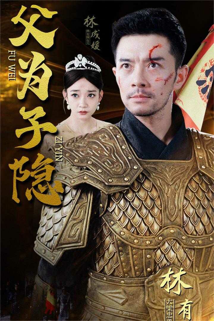 父为子隐封面