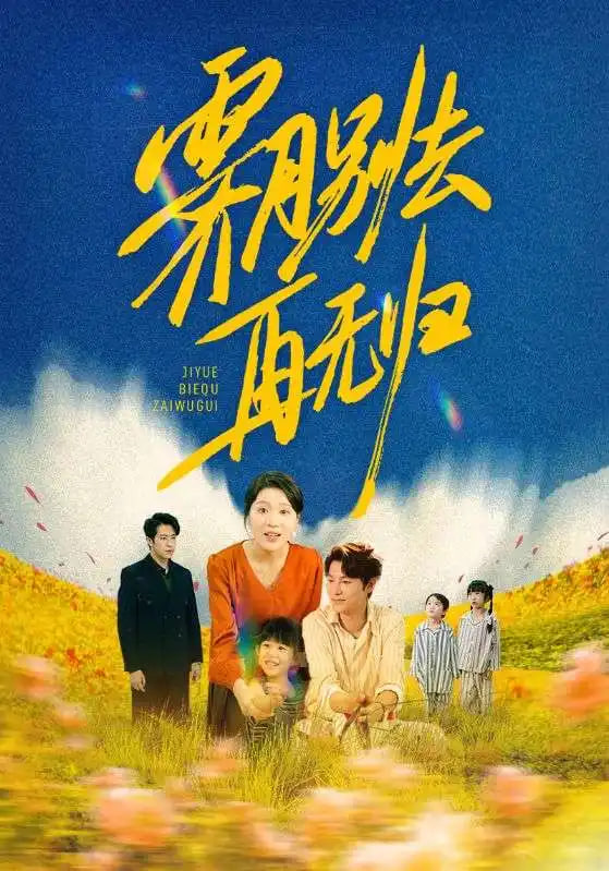 霁月别去再无归封面
