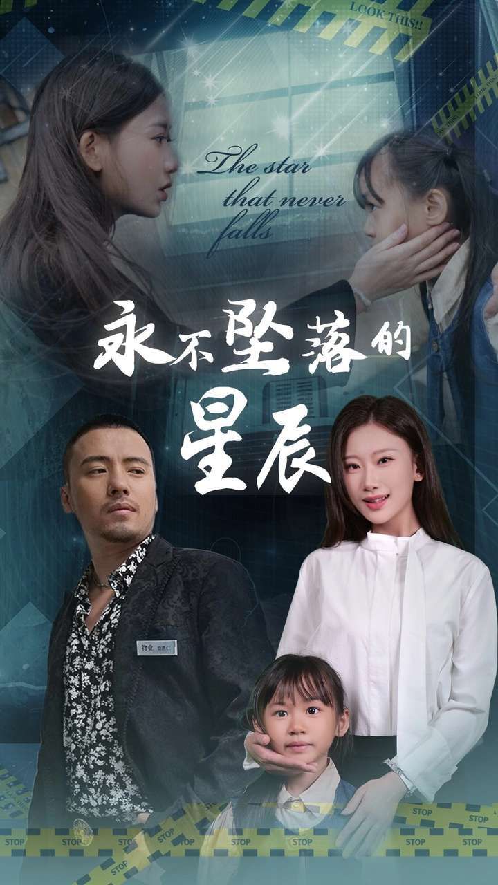 永不坠落的星辰封面