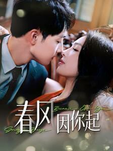 春风因你起封面