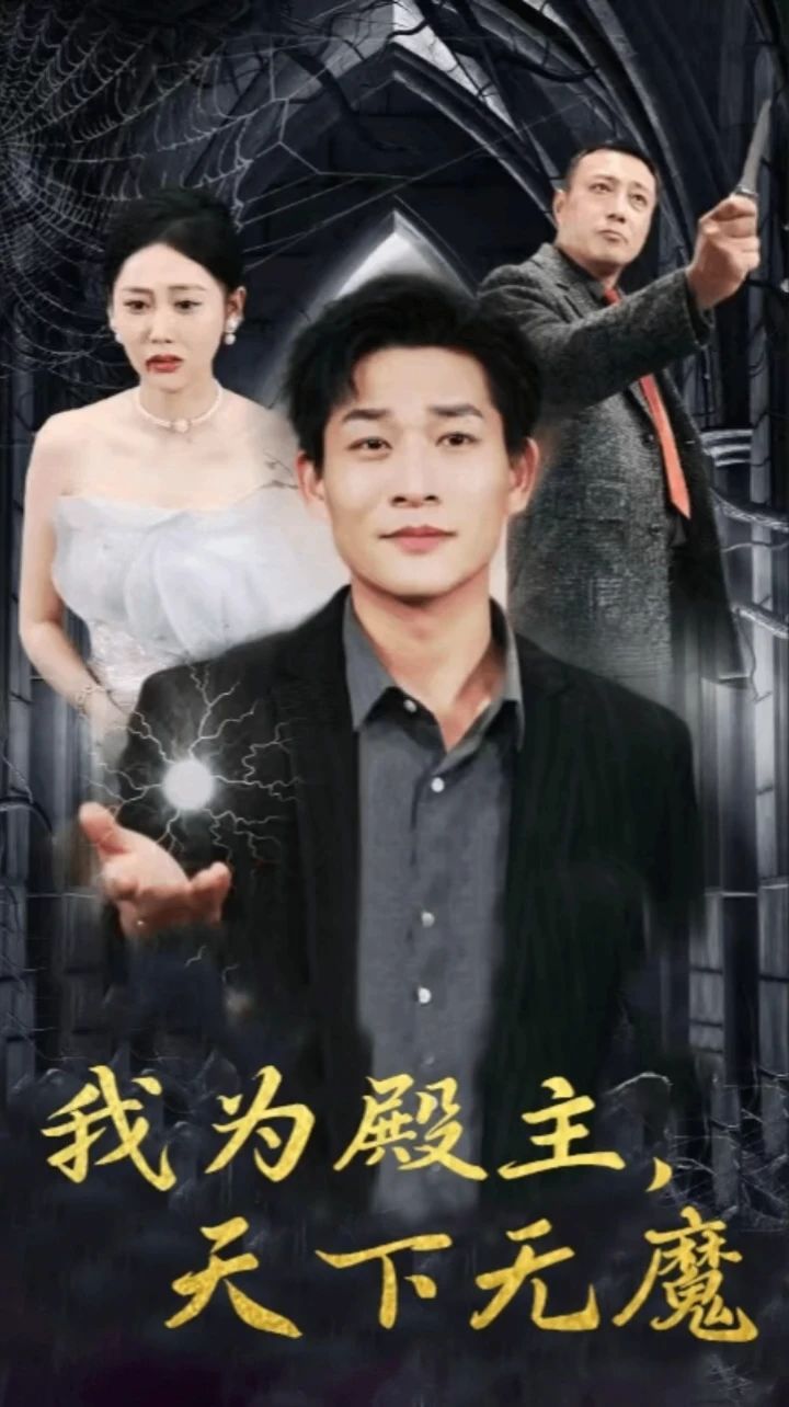 我为殿主天下无魔封面