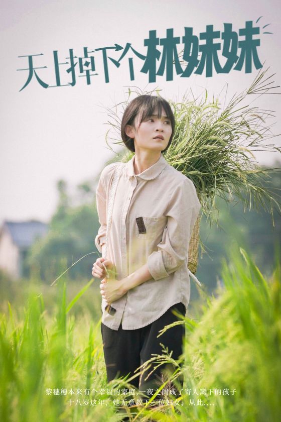 天上掉下个林妹妹封面