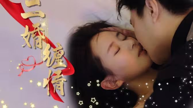 二婚缠情封面