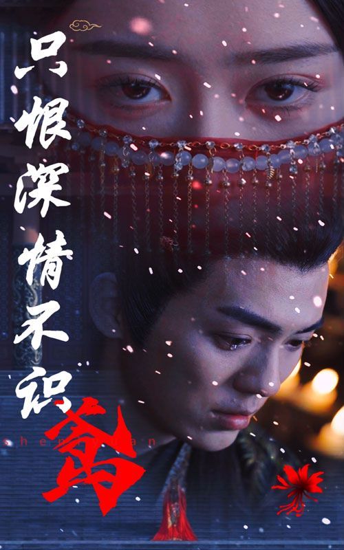 只恨深情不识鸢封面