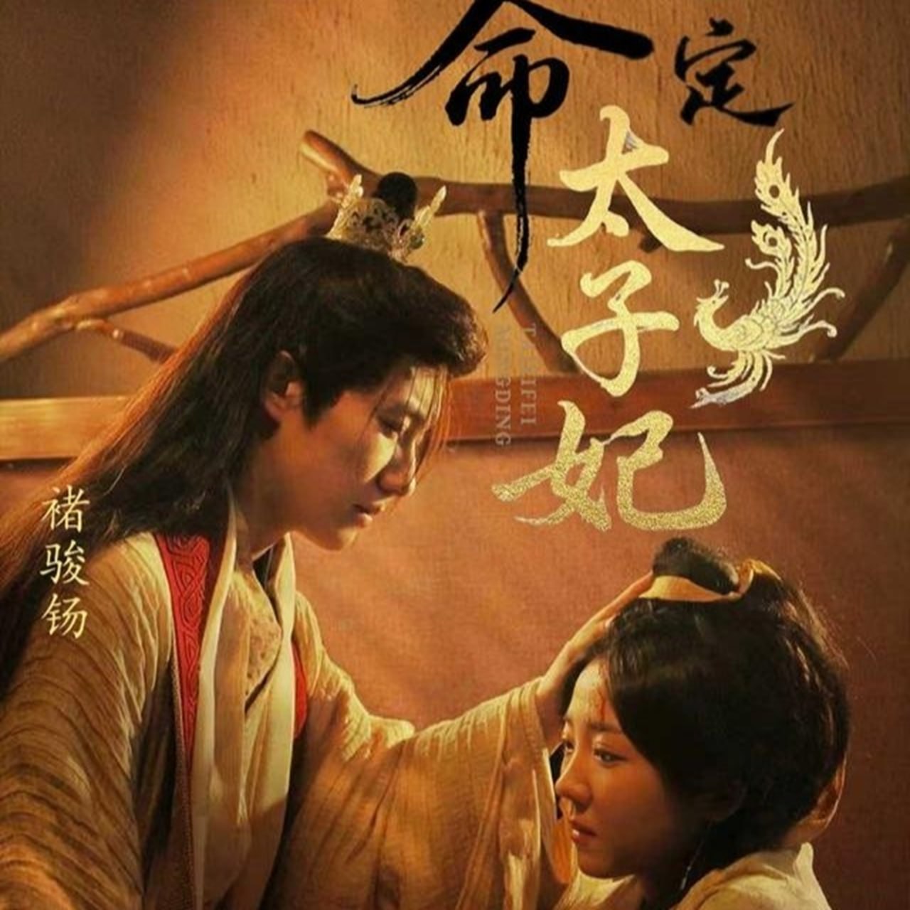 命定太子妃封面