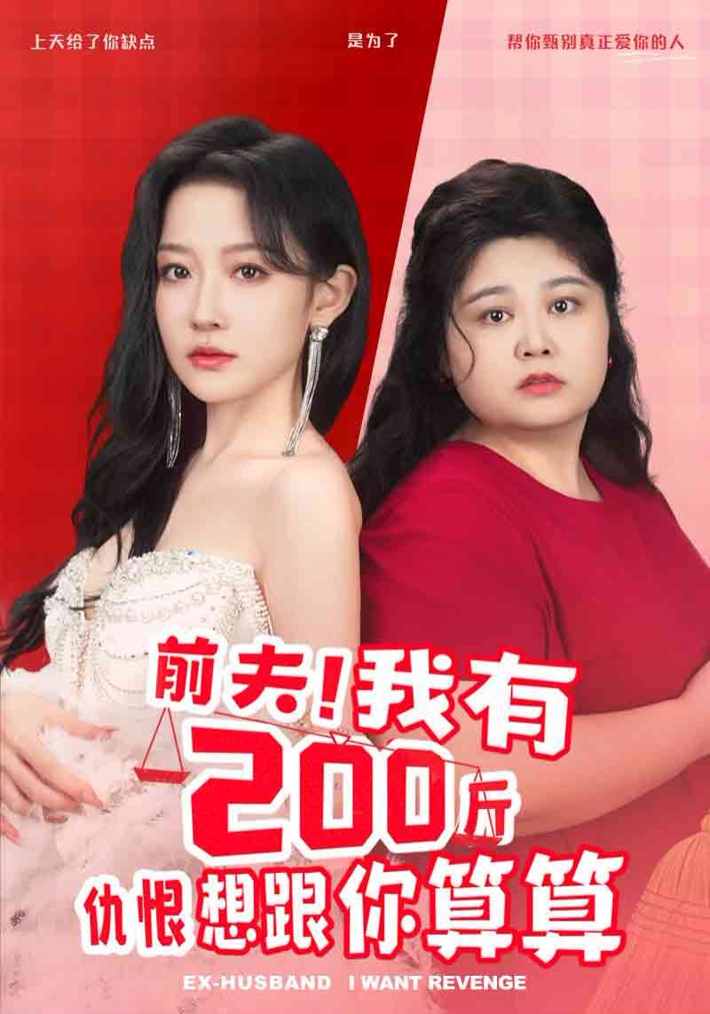 前夫我有200斤仇恨想跟你算算封面