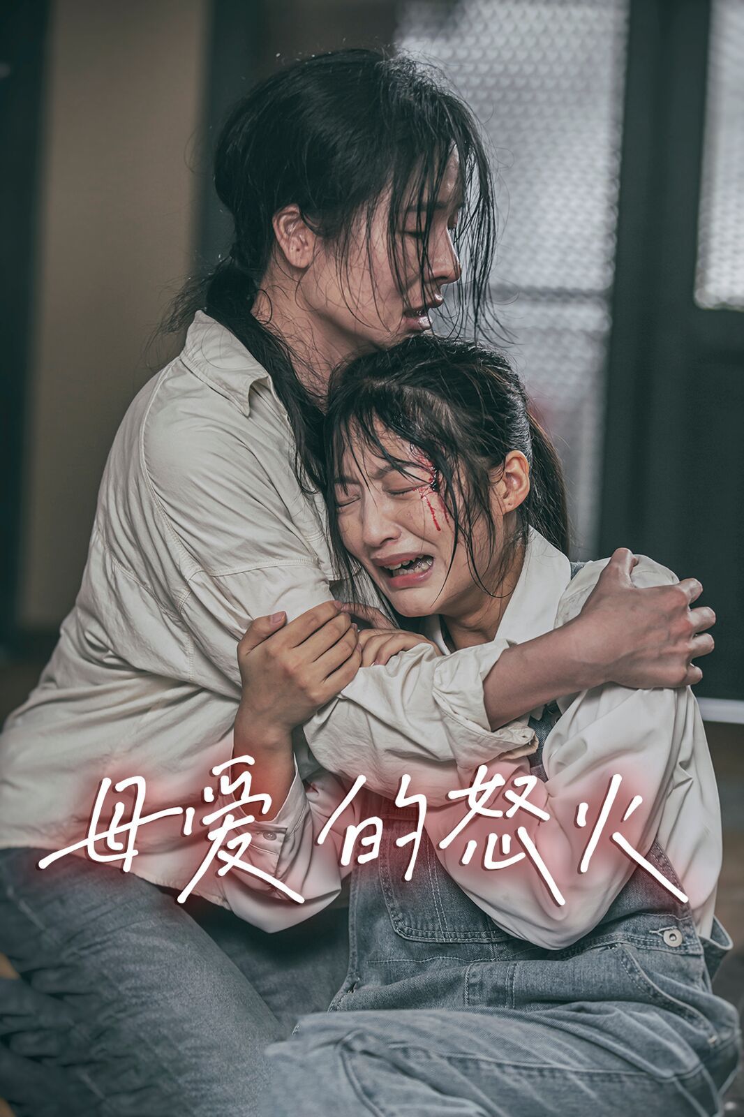 母爱的怒火封面