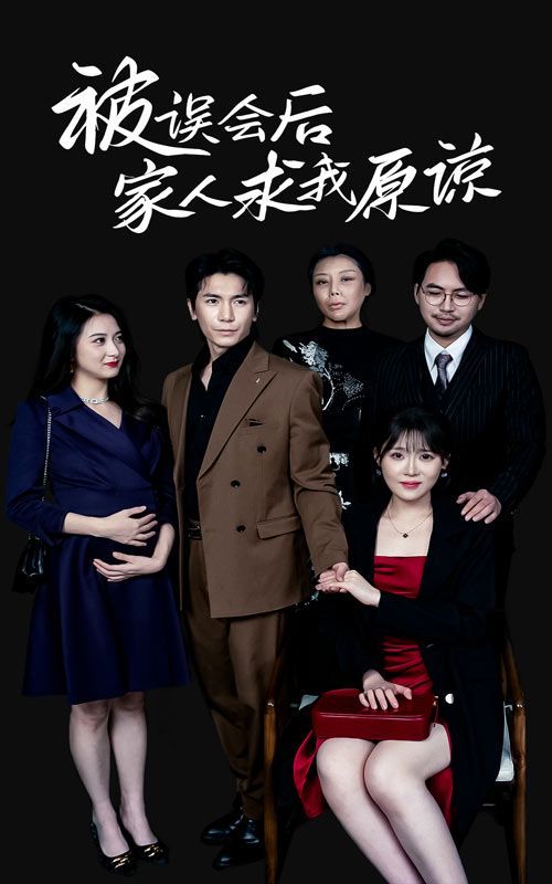 被误会后家人求我原谅封面
