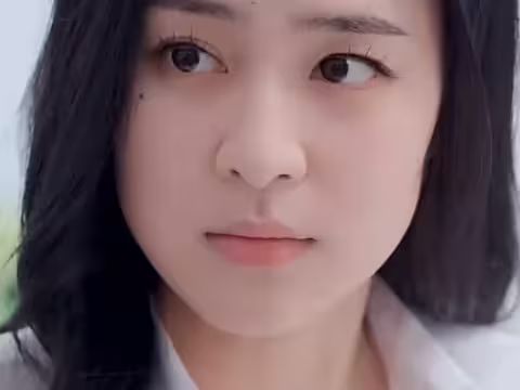 城南花正开封面