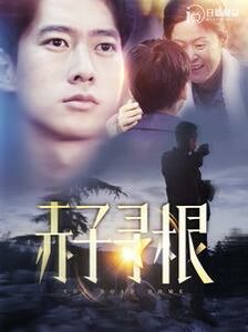 赤子寻根封面