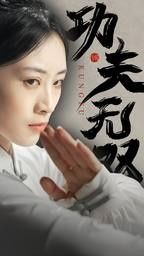 功夫无双封面