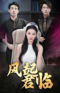 风起君临封面