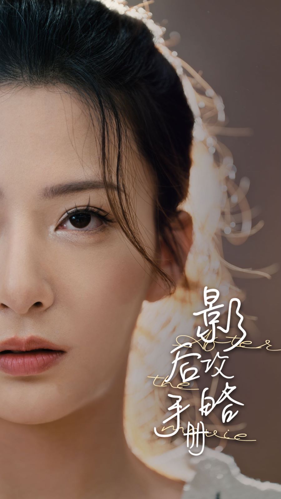 影后攻略手册封面