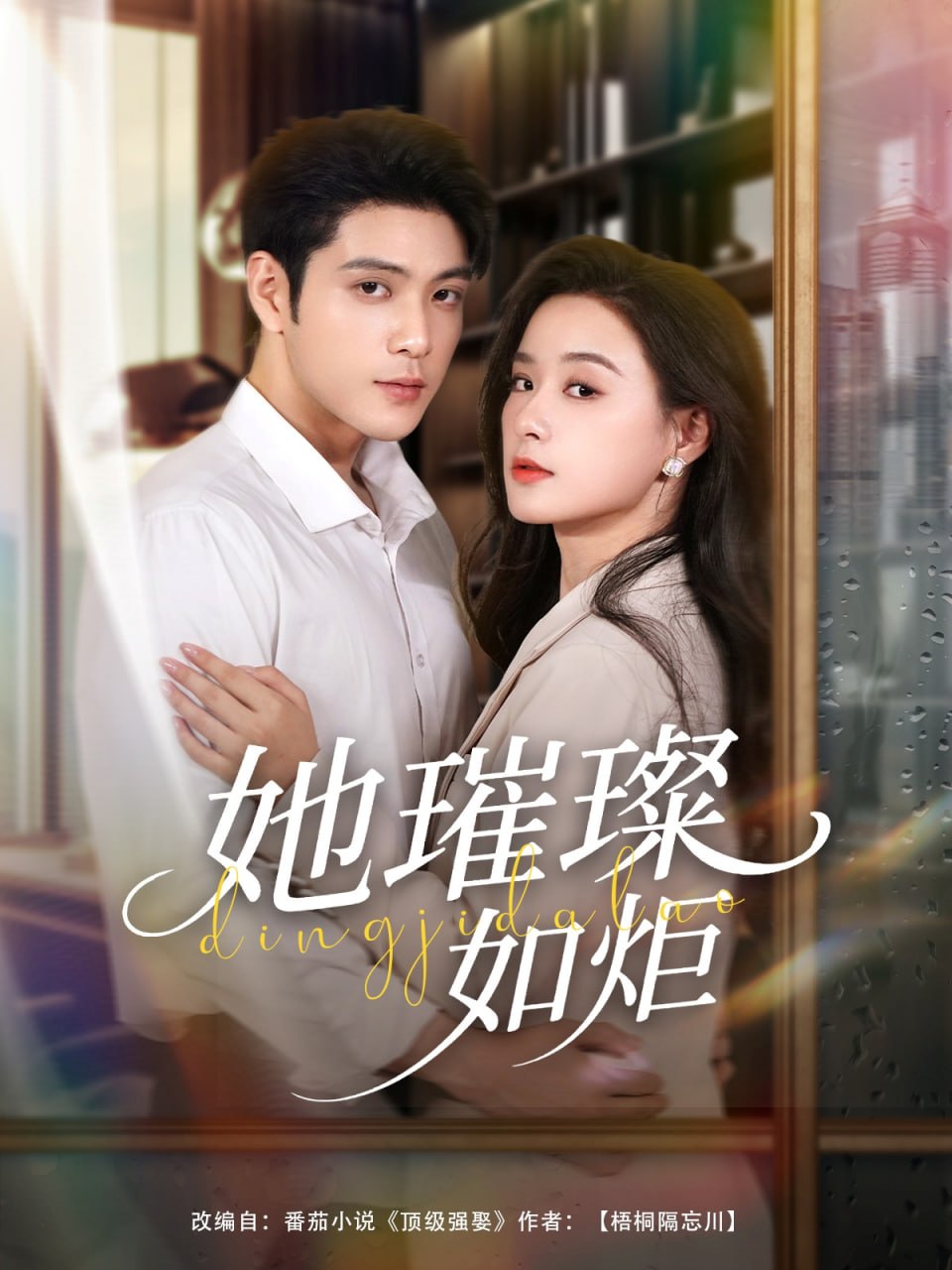 她璀璨如炬封面