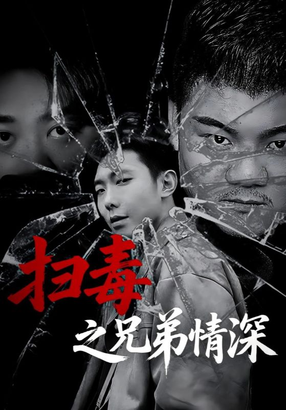 扫毒之兄弟情深封面