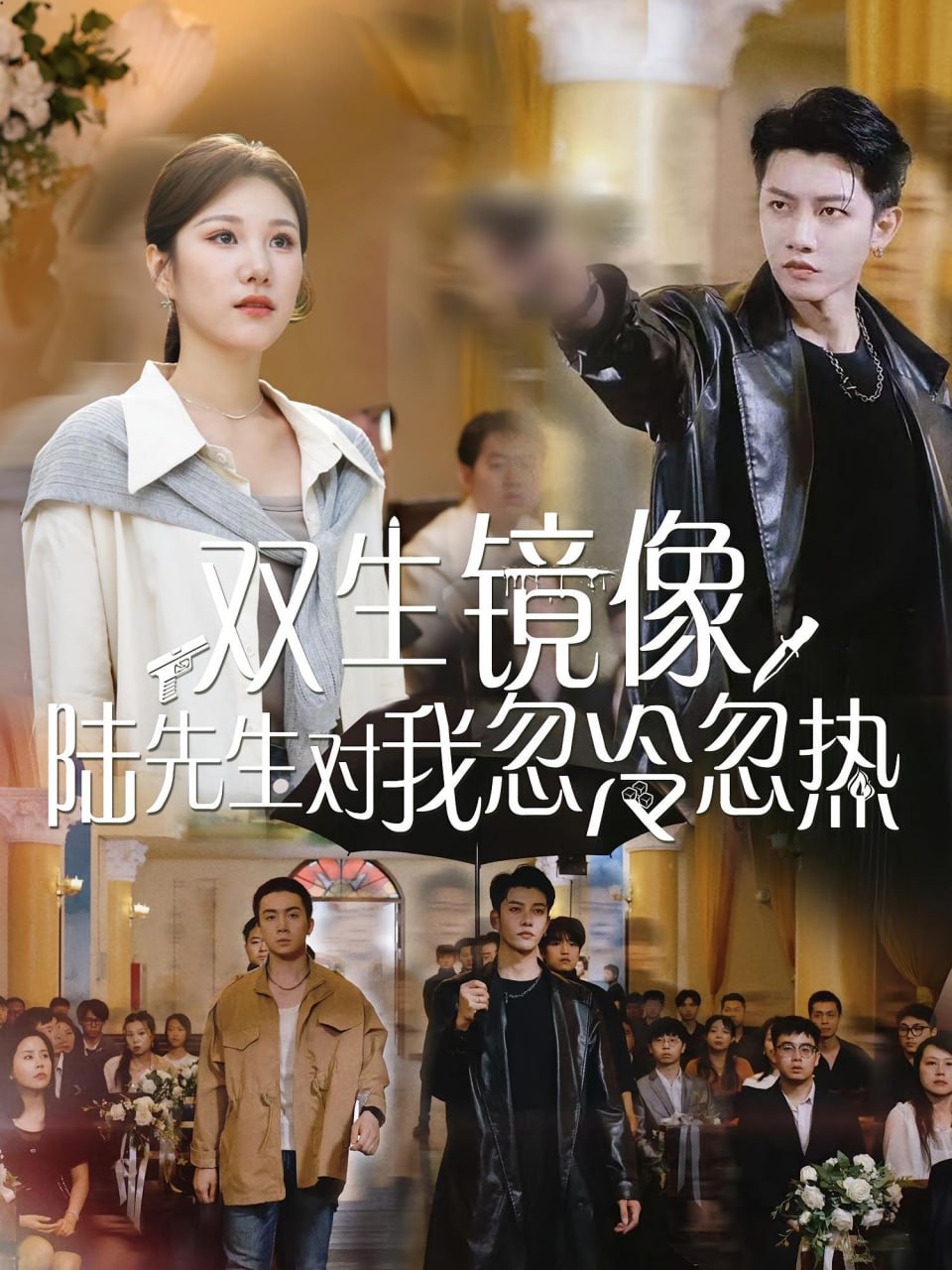 双生镜像陆先生对我忽冷忽热封面