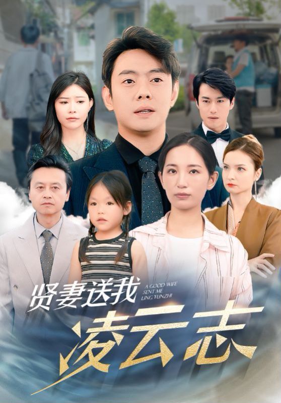 贤妻送我凌云志封面