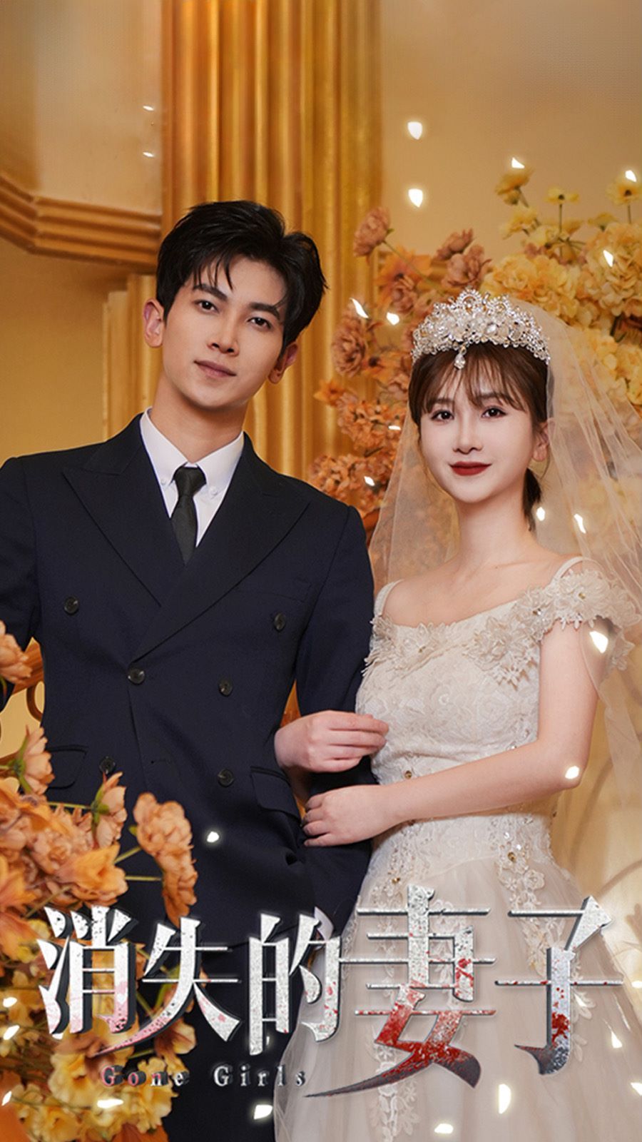 新：消失的妻子封面