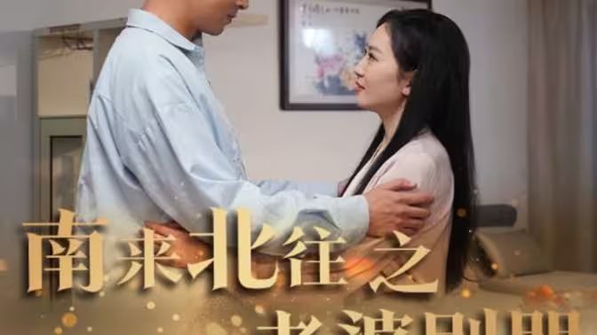 南来北往之老婆别哭封面