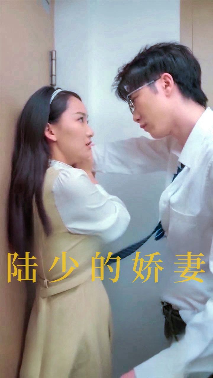 陆少的娇妻封面