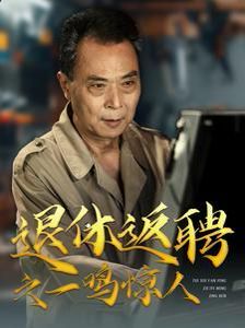 退休返聘之一鸣惊人封面