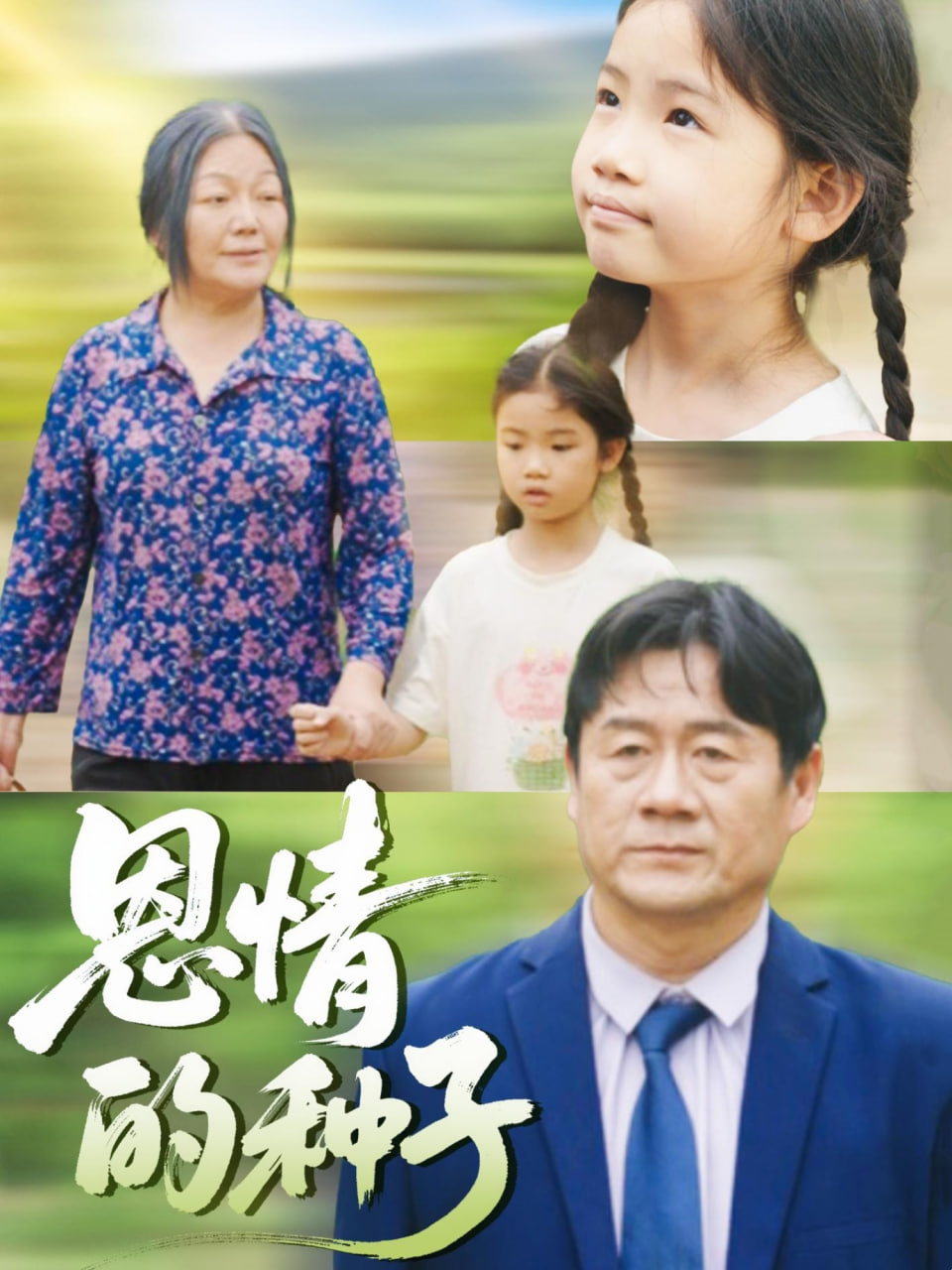 恩情的种子封面