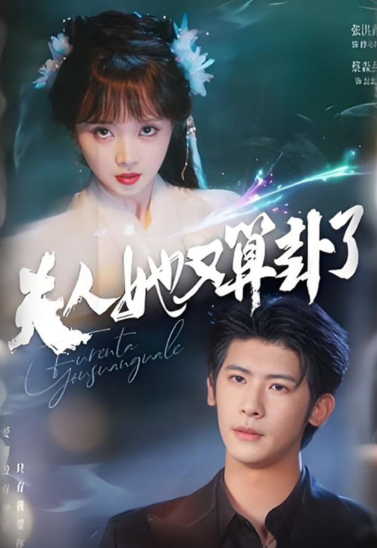 夫人她又算卦了封面