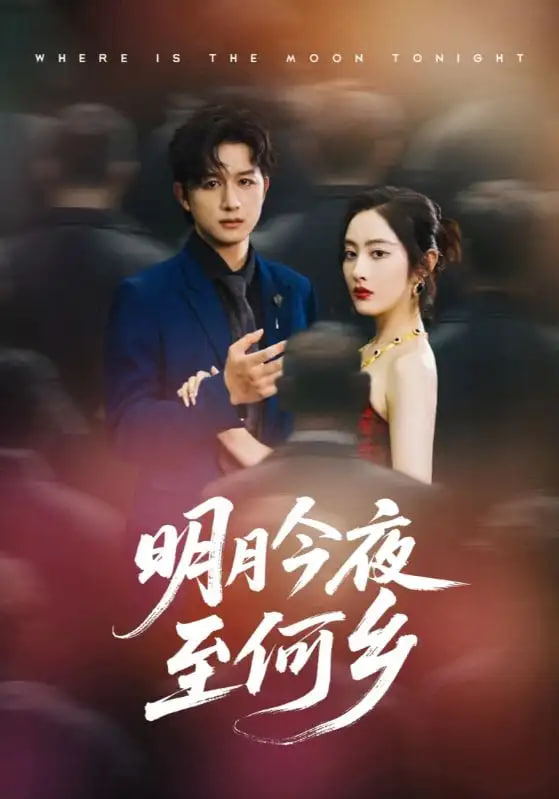 明月今夜至何乡封面