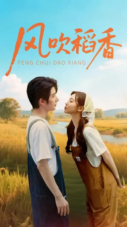 风吹稻香封面