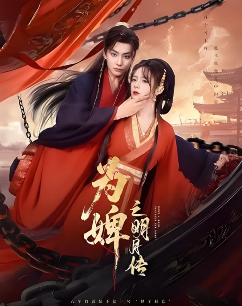 为婢之明月传封面