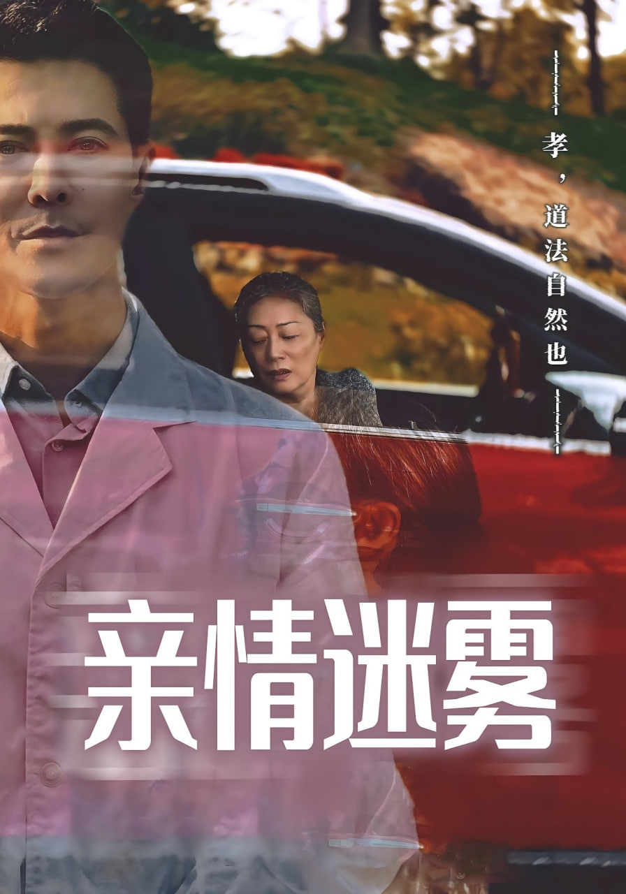 亲情迷雾封面