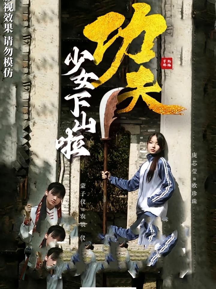 功夫少女（功夫少女下山啦）封面