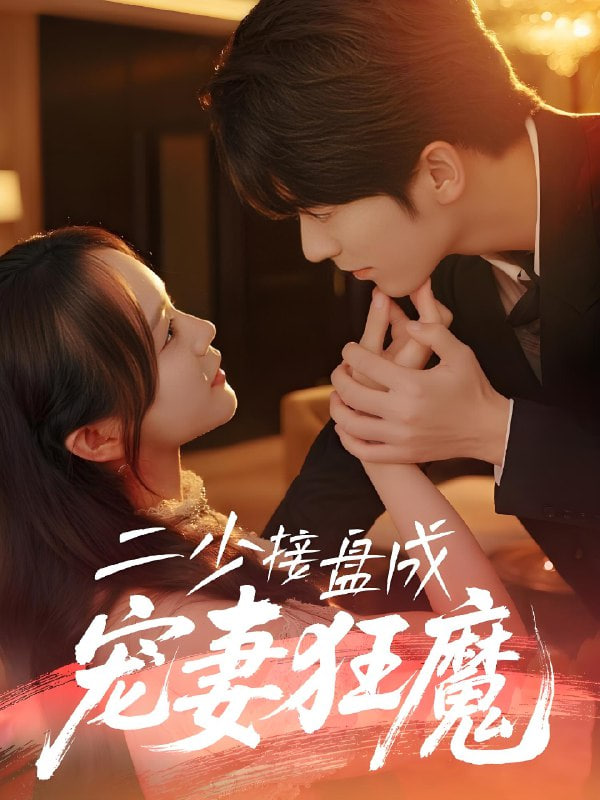 二少接盘成宠妻狂魔封面