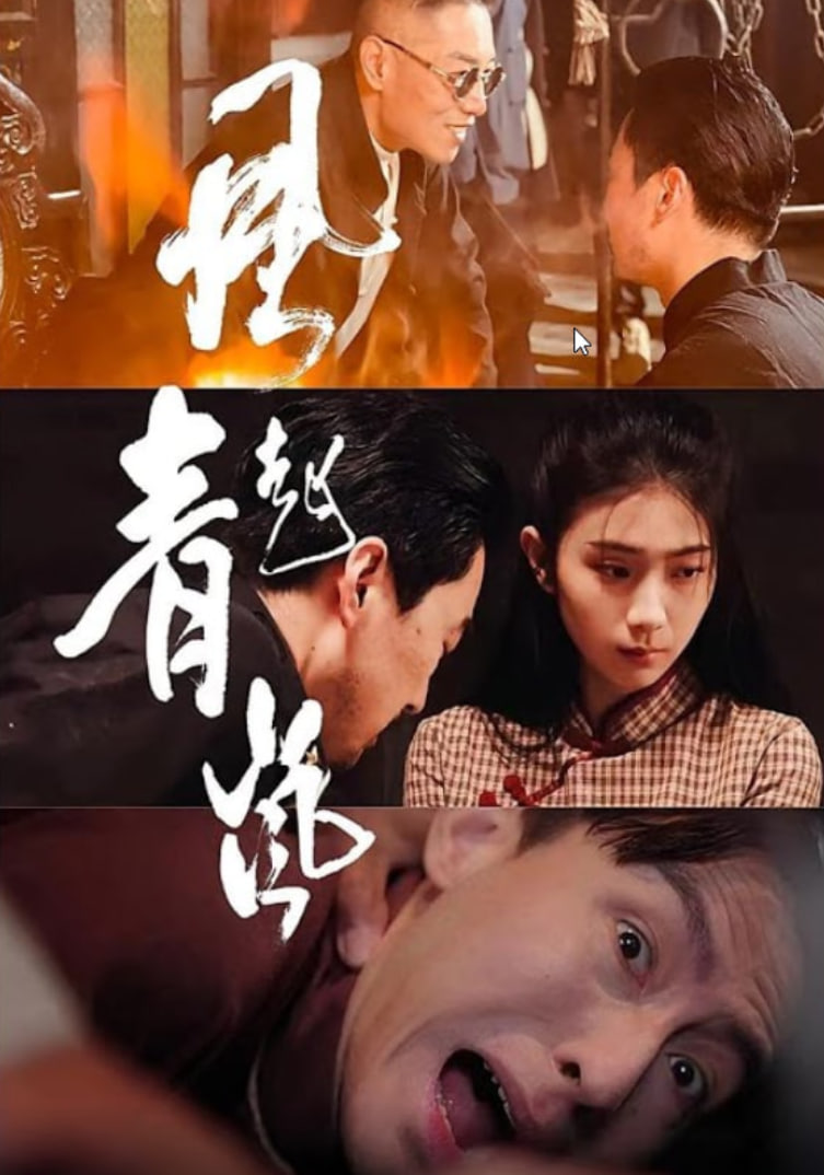风起青岚封面