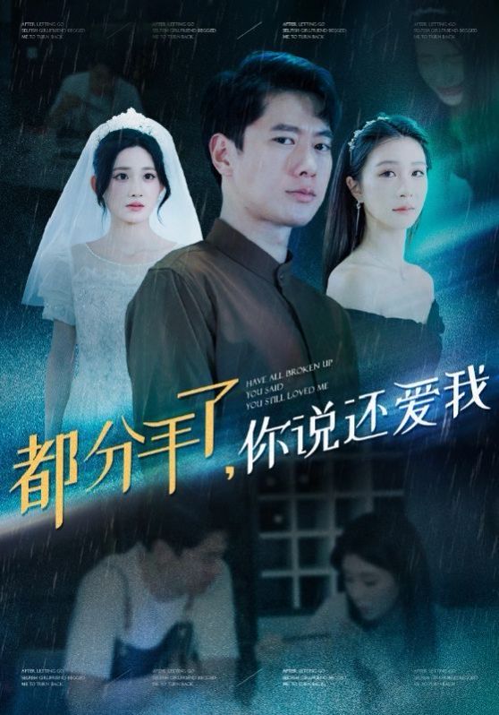 都分手了你说还爱我封面