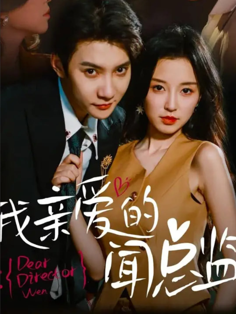 我亲爱的闻总监封面