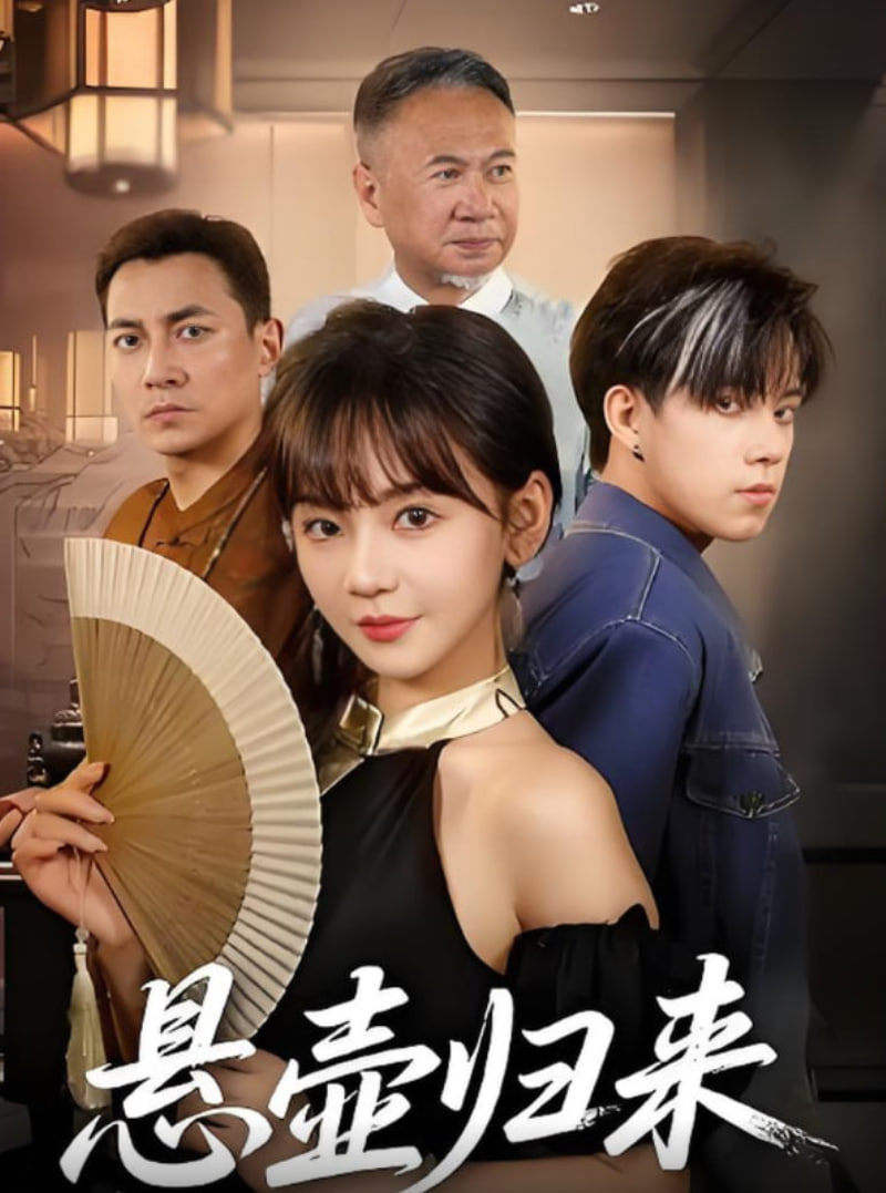 悬壶归来封面