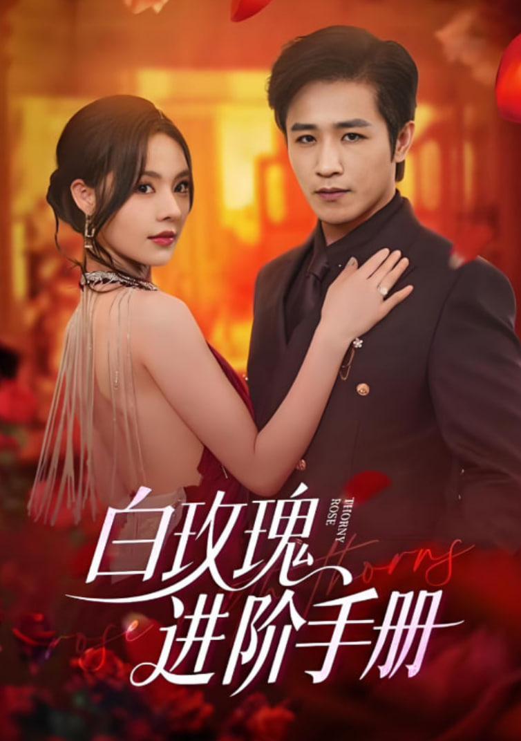 白玫瑰进阶手册封面