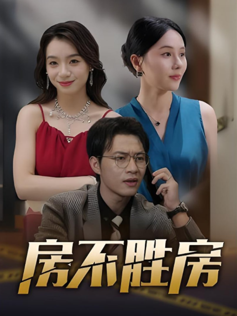 房不胜房封面