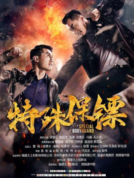 特殊保镖封面
