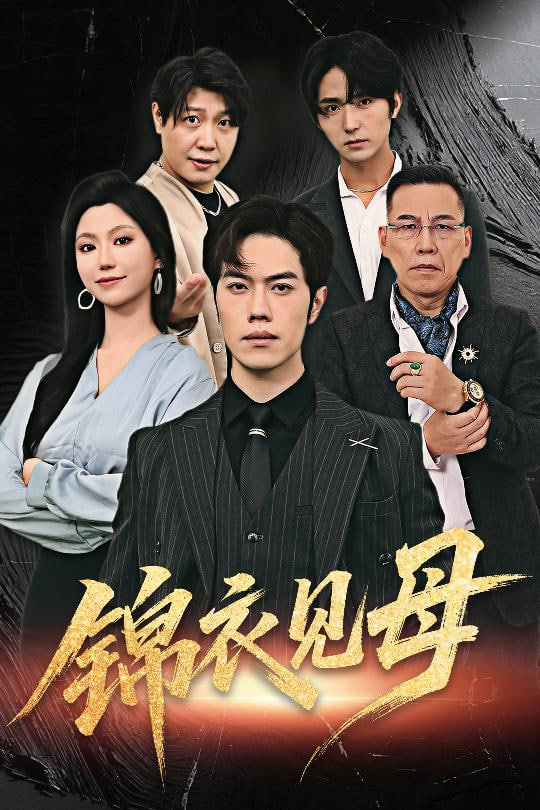 锦衣见母封面