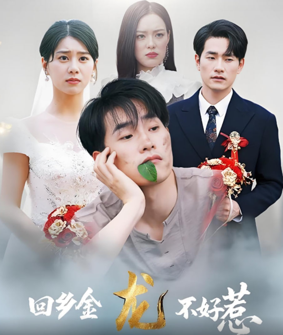 回乡金龙不好惹封面