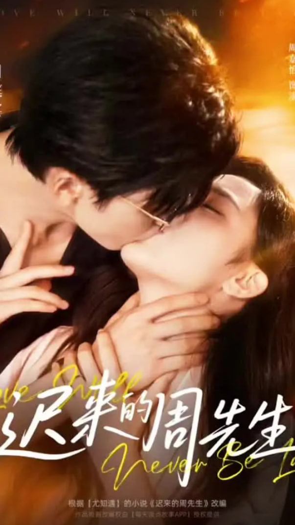 迟来的周先生封面