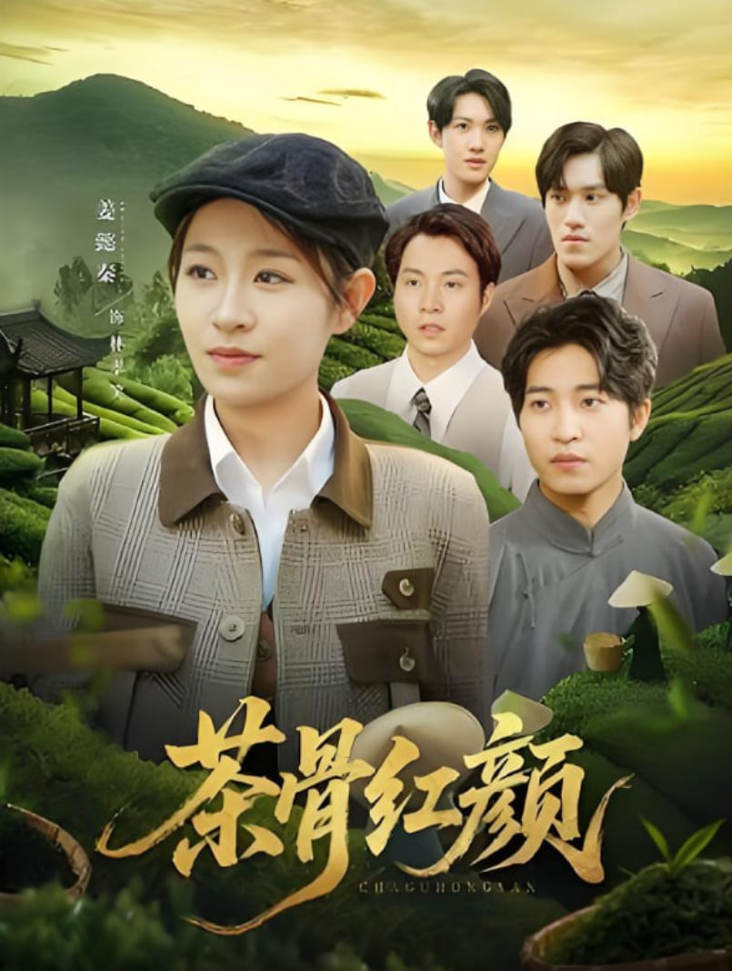 茶骨红颜封面