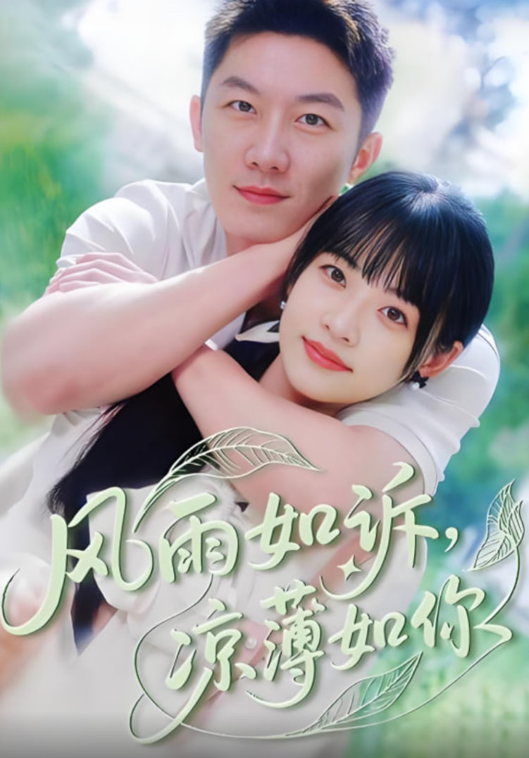 风雨如诉凉薄如你封面